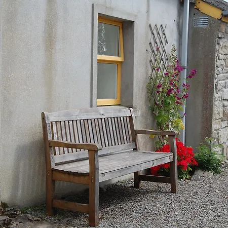 Ardtarmon Harness * Lissadell